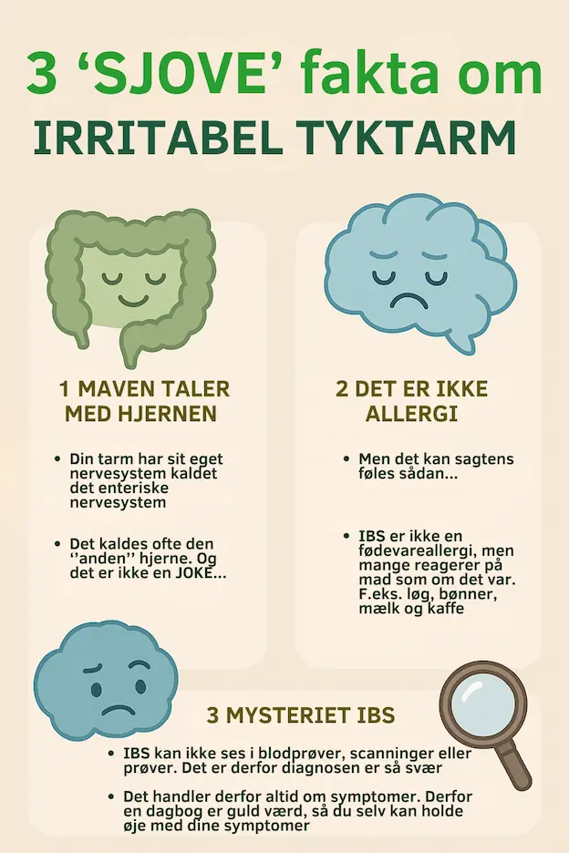 Infografik over 3 sjove fakta om IBS