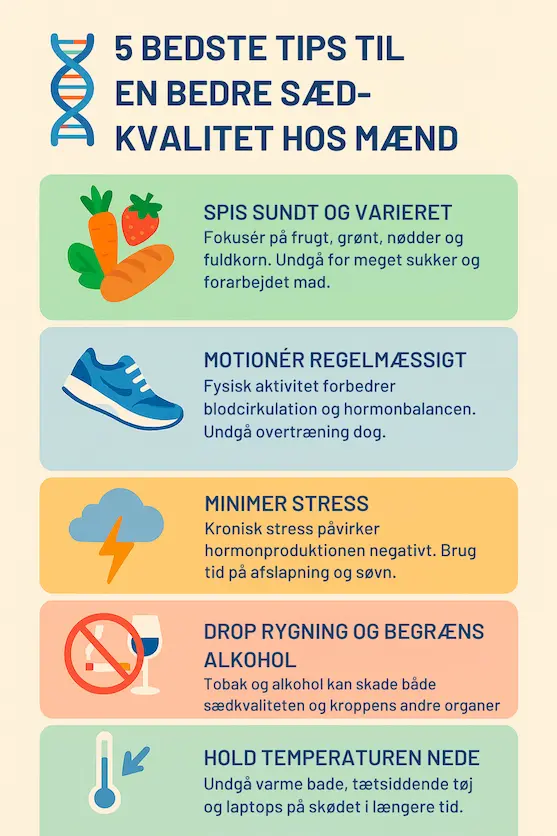 Infografik over de 5 bedste tips til at forbedre sin sædkvalitet som mand