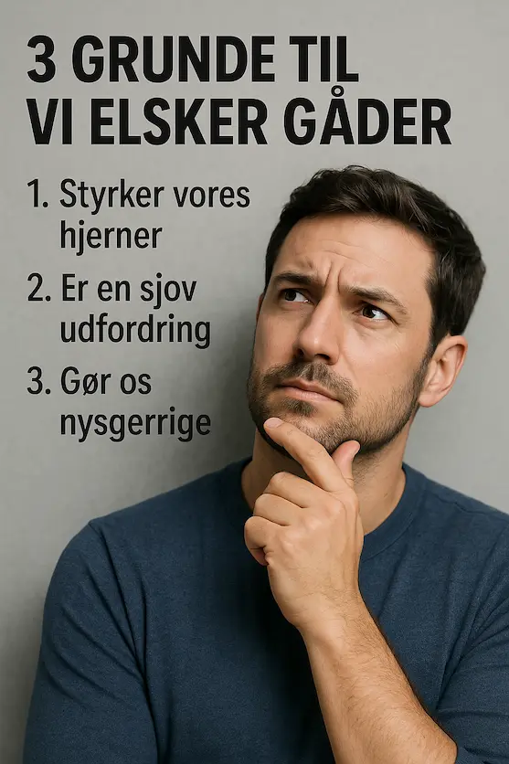 3 grunde til vi elsker gåder infografik