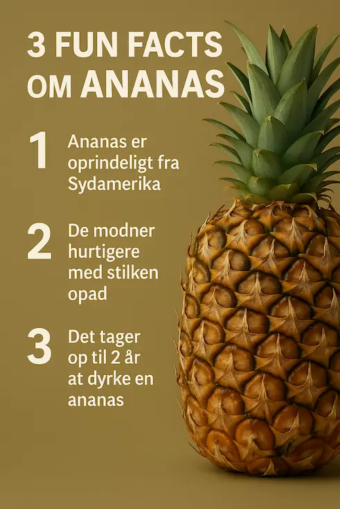 Infografik over 3 facts om ananas