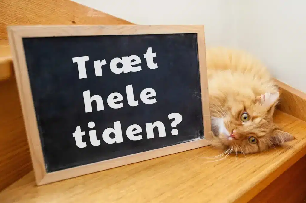 5 overraskende grunde til at du er træt hele tiden