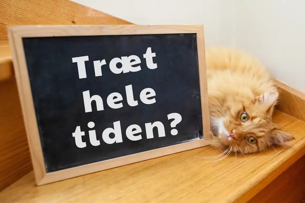 5 overraskende grunde til at du er træt hele tiden