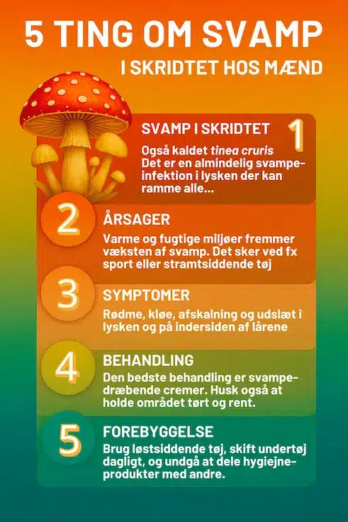 Infografik over 5 af di vigtigste viden man skal have om svamp i skridtet hos mænd