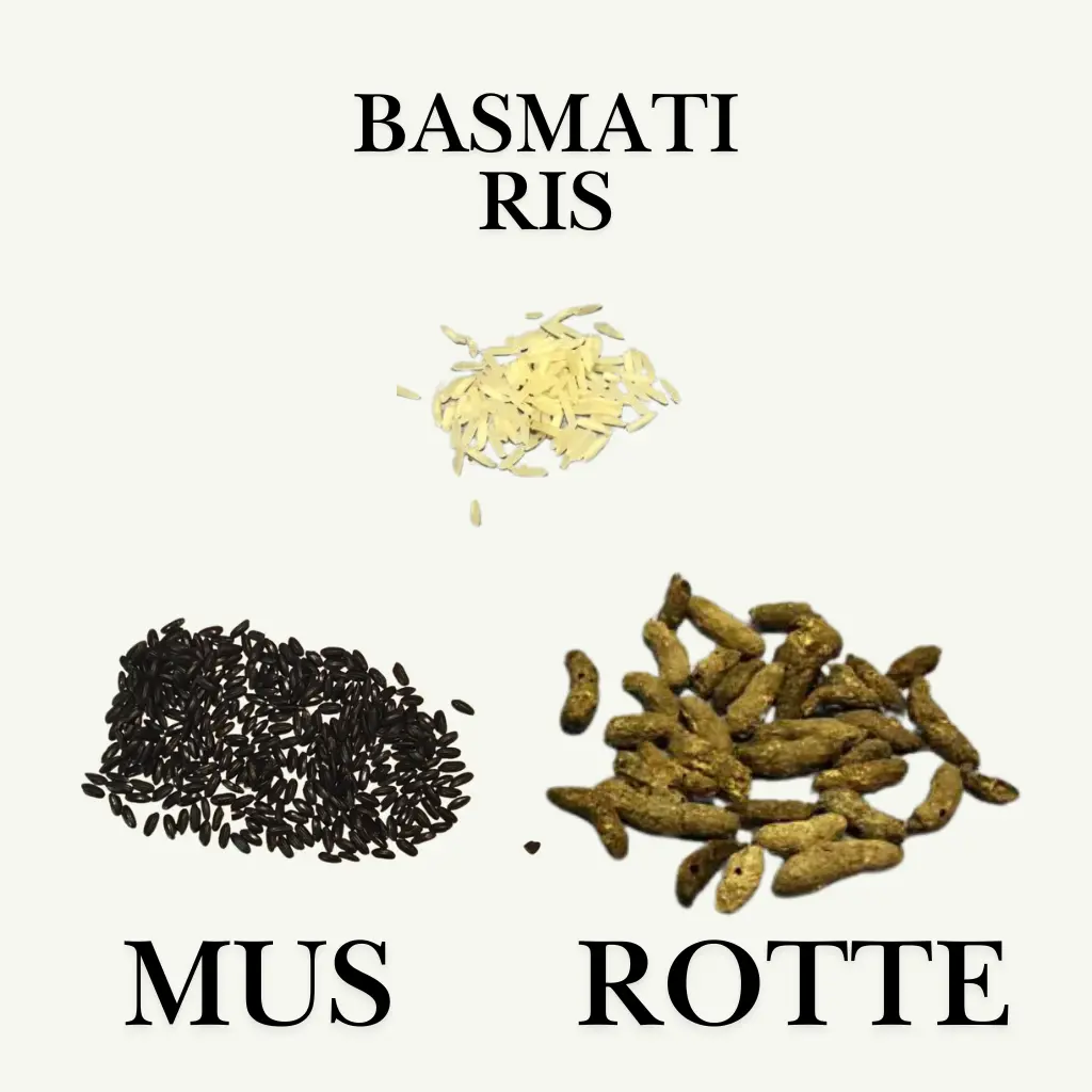 Billede af lorten fra mus og rotter