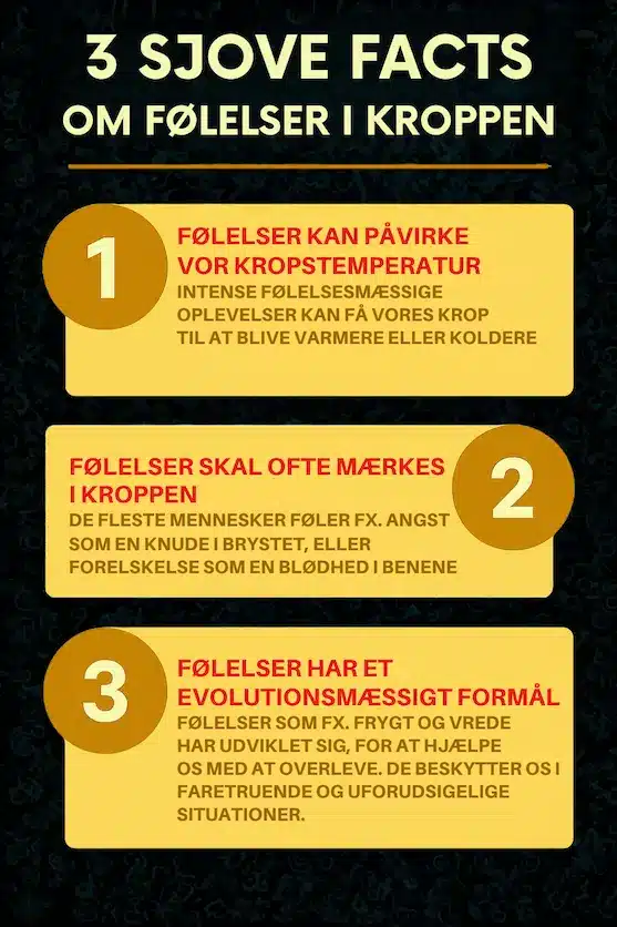 infografik over 3 sjove fakta om følelser i vores kroppen og hvor de sidder