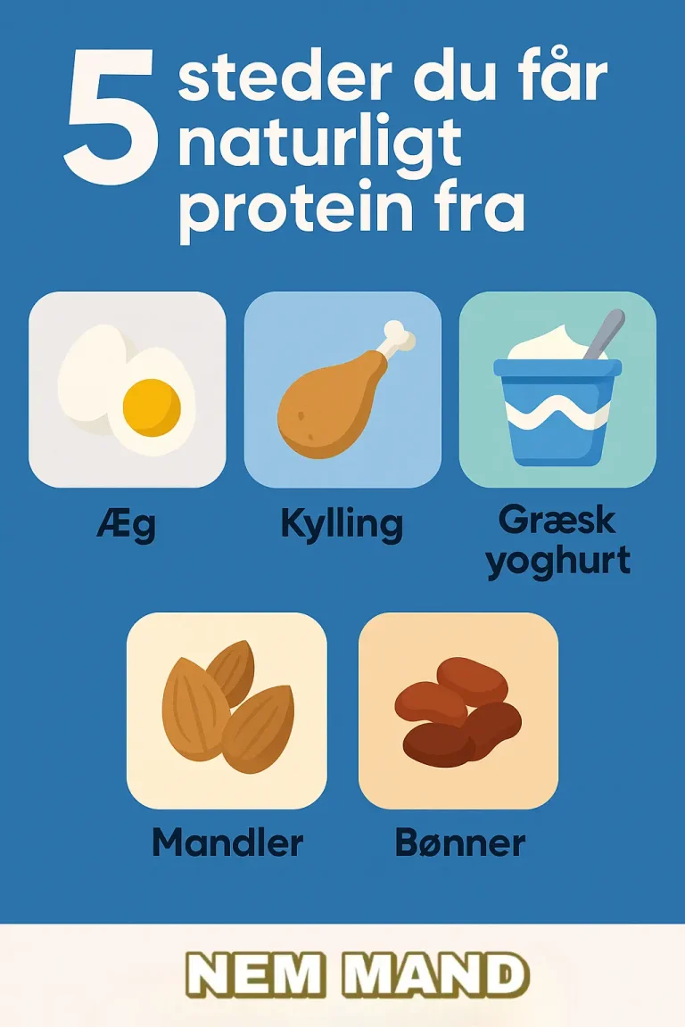 infografik over 5 steder man får naturligt protein fra