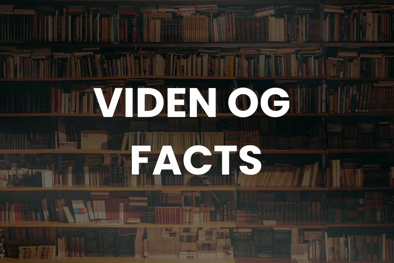 Billede af viden og facts