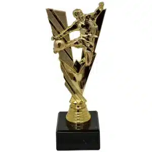 Personlige Award Statuette