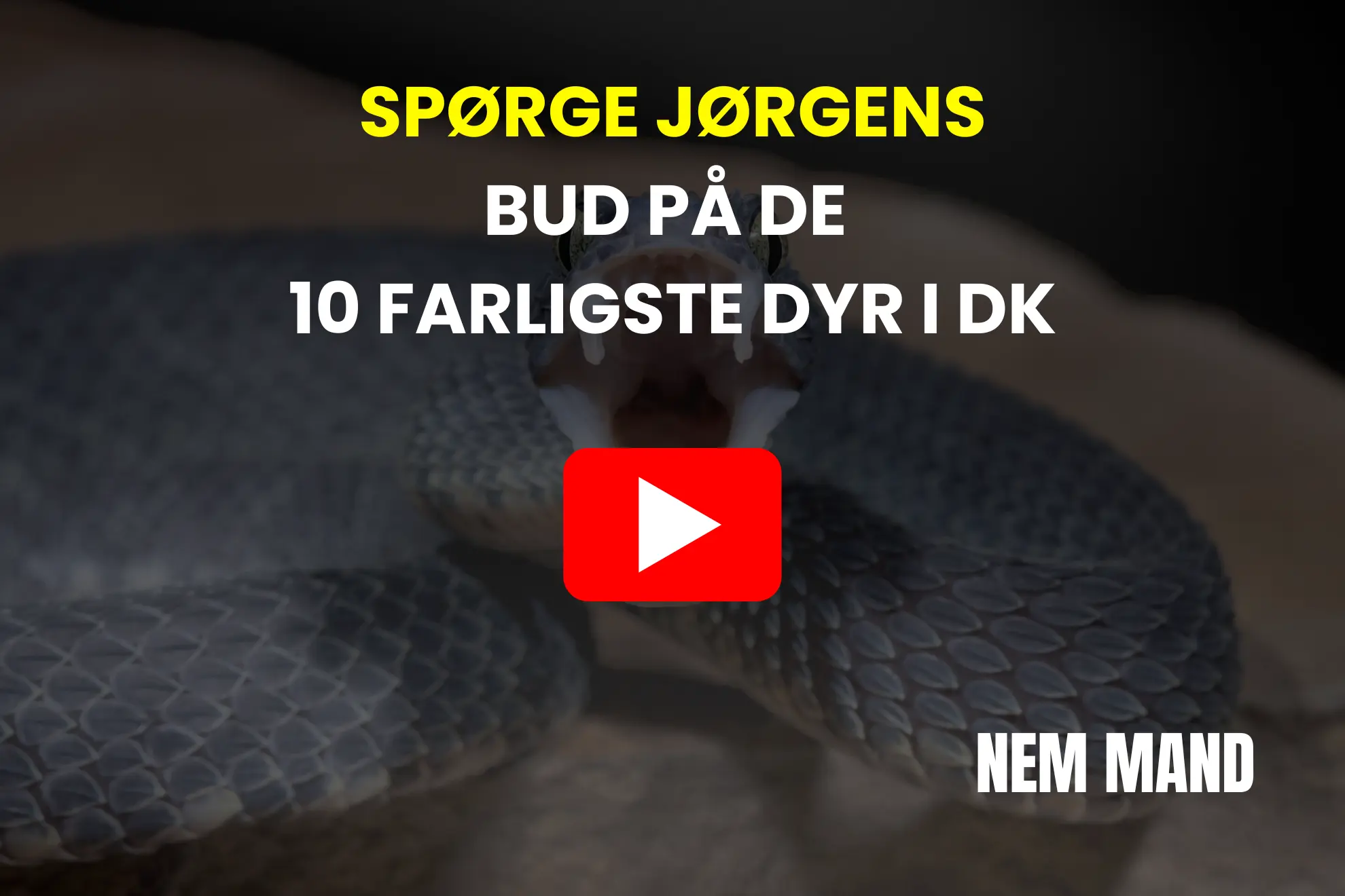 YouTube video af den danske kanal spørge jørgen der giver sit bud på de 10 farligste dyr i danmark